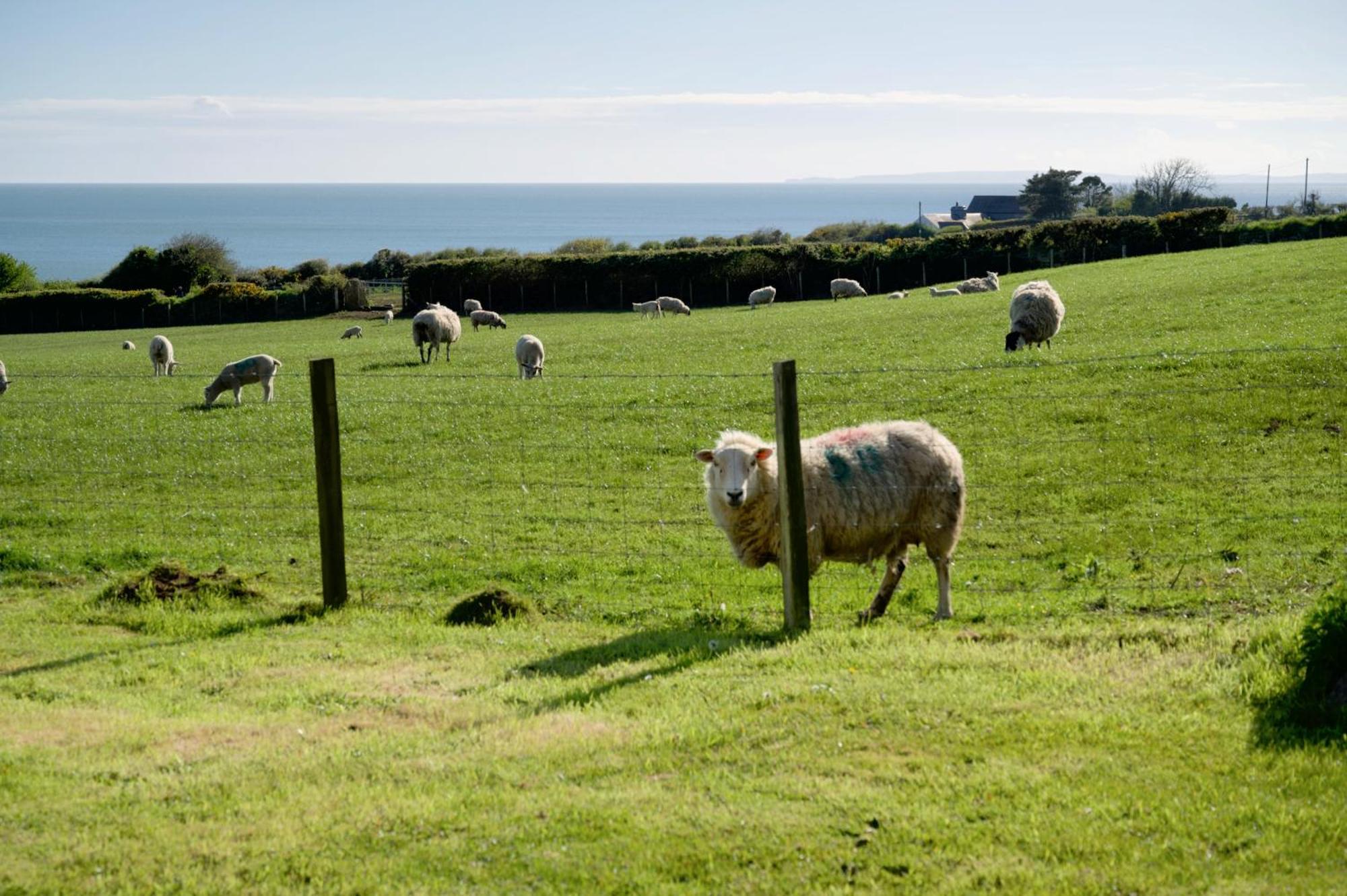 Criccieth- Studio Glan Erin Bach Zewnętrze zdjęcie